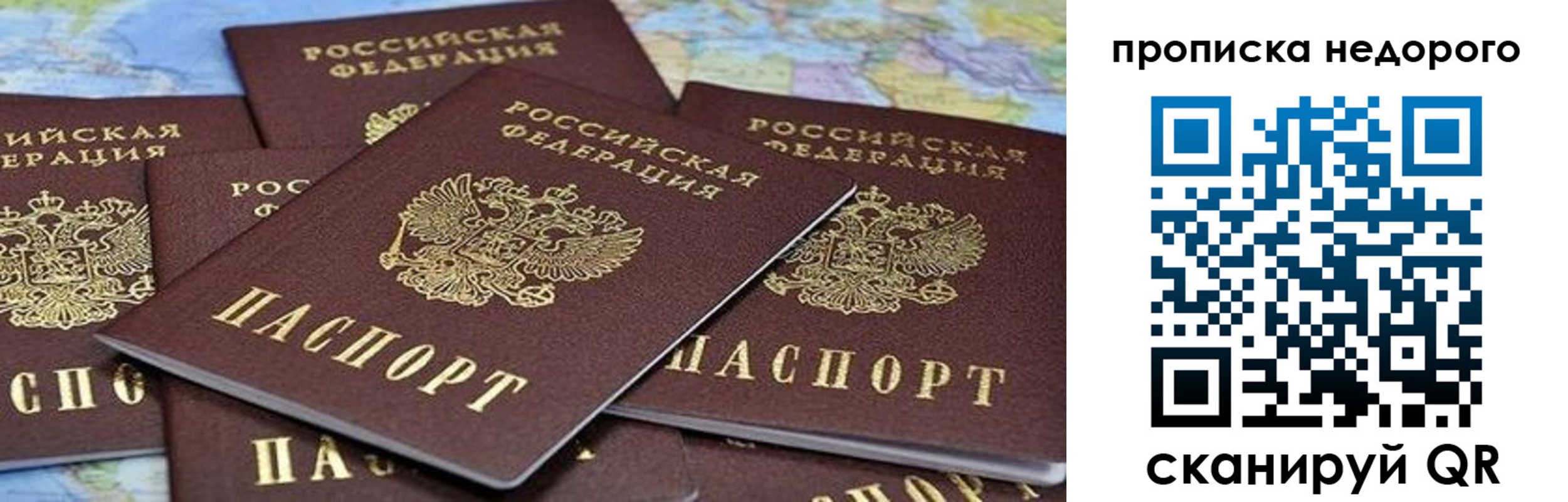 регистрация для школы в Фрязино